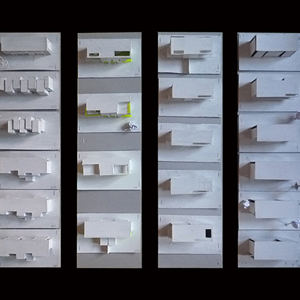 Asymmetry, House Concept, Living, Project.