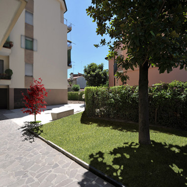 Giardino di cemento con albero, Verde, Ristrutturazione.