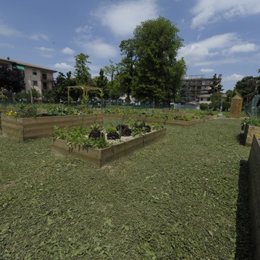 Co-Funding, Orto Scolastico, Rigenerazione Urbana, verde, verdura.
