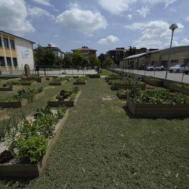 Co-Funding, Orto Scolastico, Rigenerazione Urbana, verde, verdura.