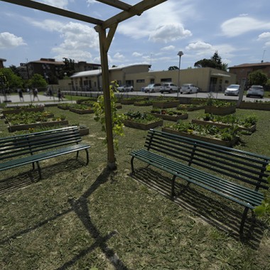 Co-Funding, Orto Scolastico, Rigenerazione Urbana, verde, verdura.