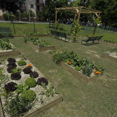 Co-Funding, Orto Scolastico, Rigenerazione Urbana, verde, verdura.