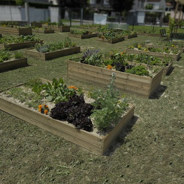 Co-Funding, Orto Scolastico, Rigenerazione Urbana, verde, verdura.