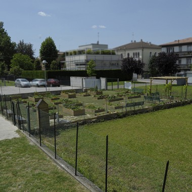 Co-Funding, Orto Scolastico, Rigenerazione Urbana, verde, verdura.