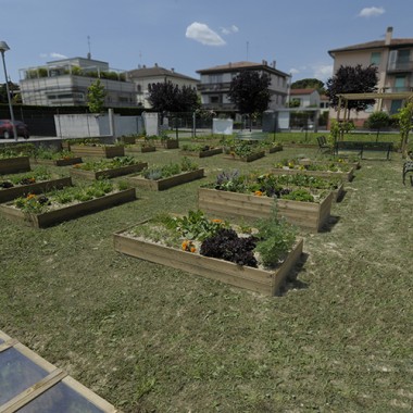 Co-Funding, Orto Scolastico, Rigenerazione Urbana, verde, verdura.